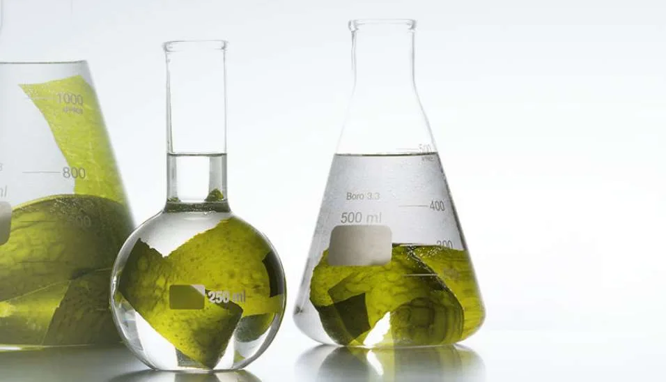 fucoidan_olifuco